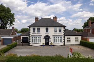 Drone Frontal- click for photo gallery